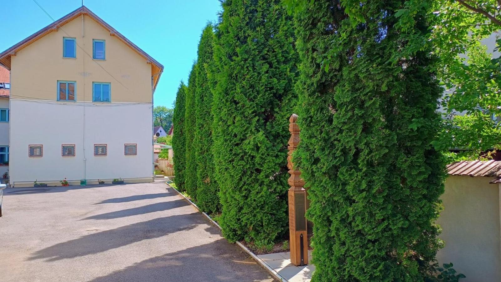 Centrul Gaudeamus Hostel Segesvár Kültér fotó